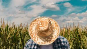 Fermierii susțin însă că 2025 a fost un alt an dificil pentru ei. (sursă foto: Agrointel)