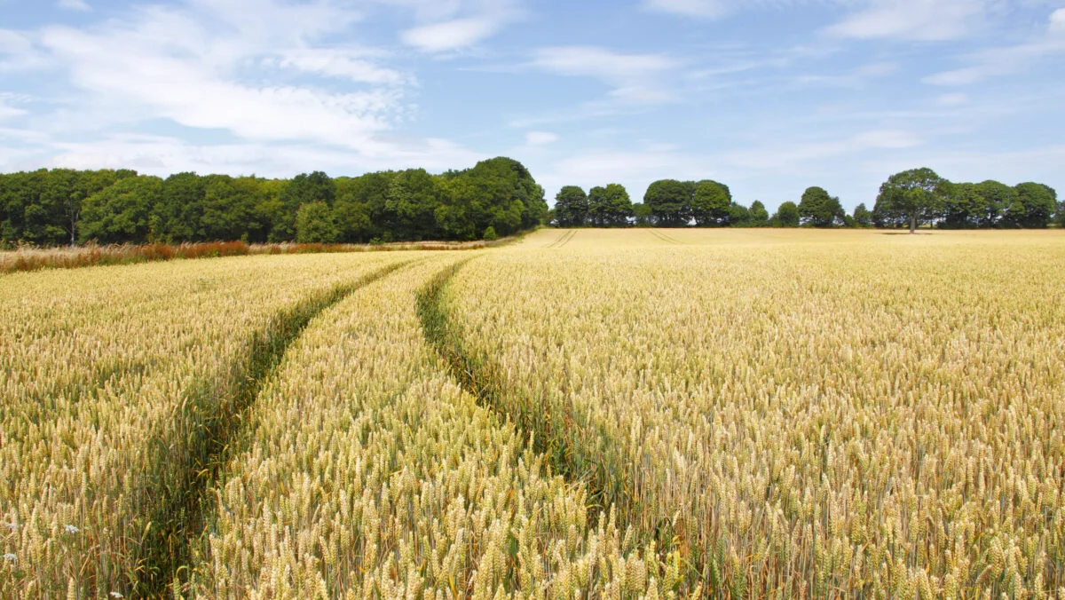 Bani pentru fermierii din România. Florin Barbu: Sumele vor fi decontate maxim până pe 15 februarie
