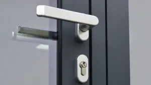 Interzis pentru românii care stau în chirie. Trebuie să ceară acordul proprietarului. Ce spune legea