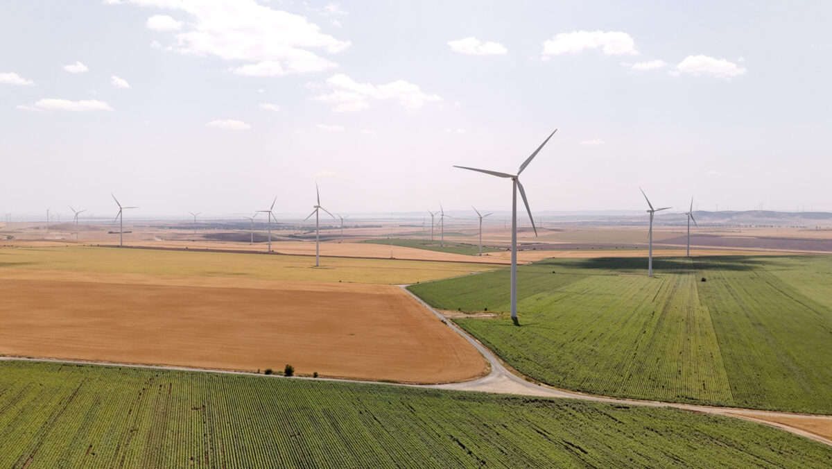 PPC Renewables investește masiv în stocare la Sălbatica 1. Un nou sistem de baterii de 60 MWh intră în dezvoltare în Tulcea