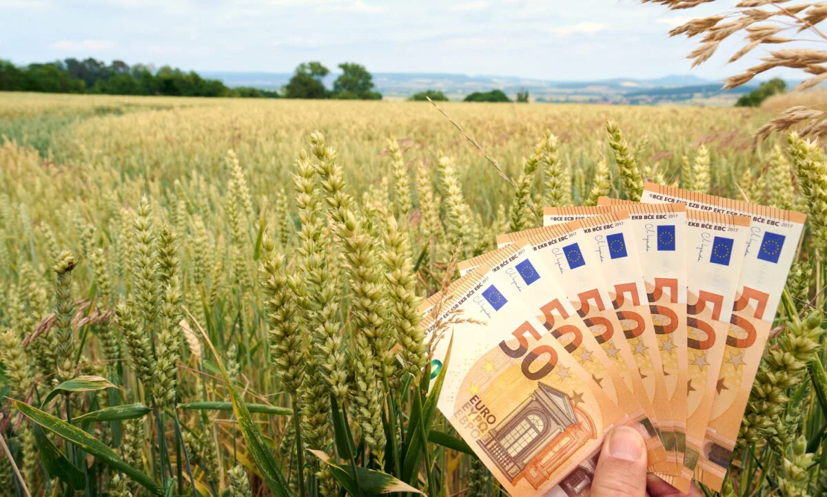 Românii care ar putea primi banii înainte de Paște. Sumele vor fi virate în conturi. Se așteaptă aprobarea bugetului