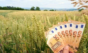 Bani pentru fermieri, agricultura, euro