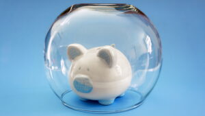 Economisire, economii, pusculita, bani