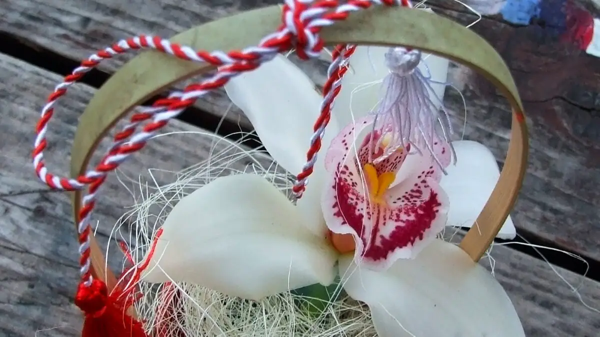 Cum trebuie îngrijite florile primite de 1 Martie. Pot ține mai mult timp decât crezi: Nu implică mari eforturi