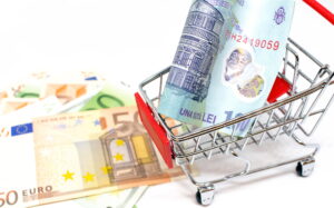 Lei, euro, cumparaturi, bani cash, numerar