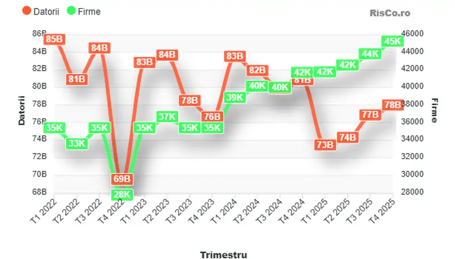 Statistica Datorii_RisCo