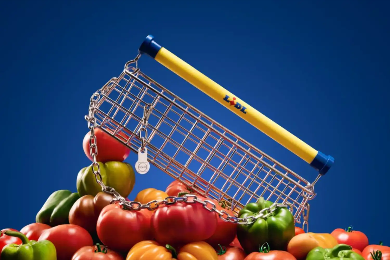 Trolley Bag
