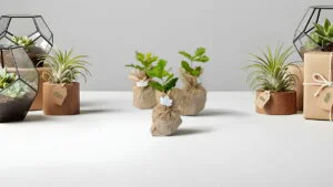 cadouri-pentru-companii