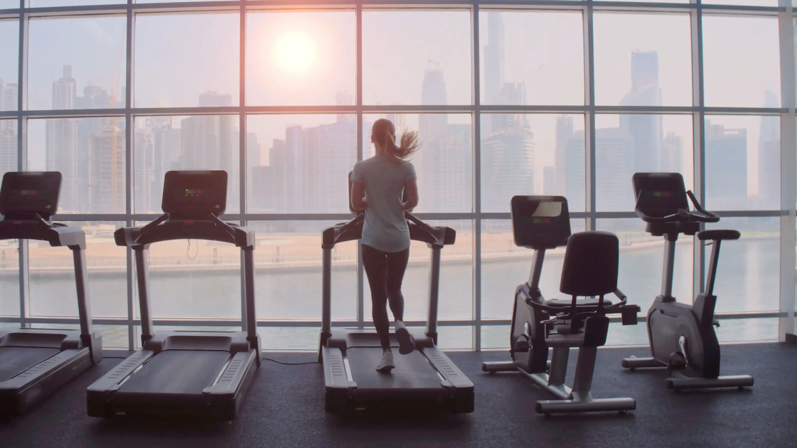fitness