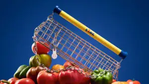 Surpriză pentru clienții Lidl. Produsul la care nu se așteptau vreodată – de la supermarket pe podiumul de modă