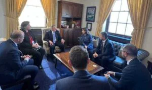 sua-minerale-critice