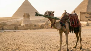 Ghid de Siguranță. Ce faci în Egipt pe cont propriu dacă situația regională devine tensionată