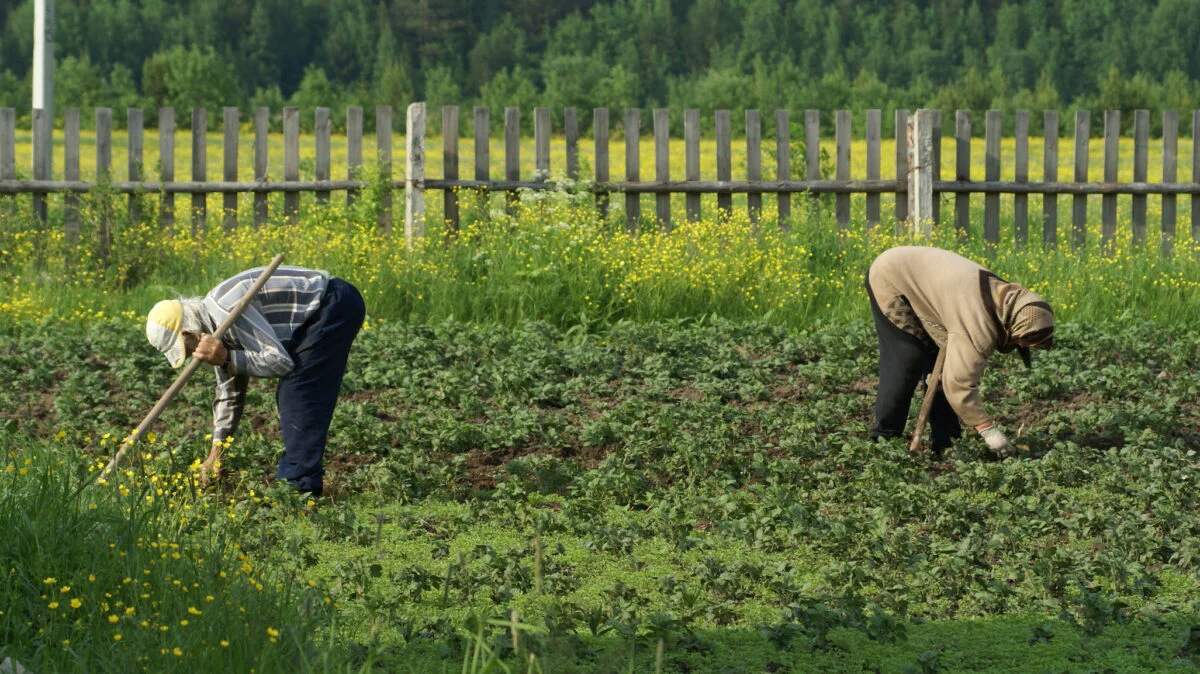 Cât ne costă munca pe oră în 2026. De la meseriași și livratori până la profesii liberale, cum s-au schimbat tarifele în România