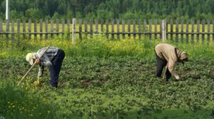 Cât ne costă munca pe oră în 2026. De la meseriași și livratori până la profesii liberale, cum s-au schimbat tarifele în România