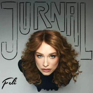 Feli - Jurnal_digital