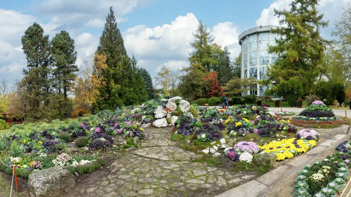 Grădina Botanică din Iași