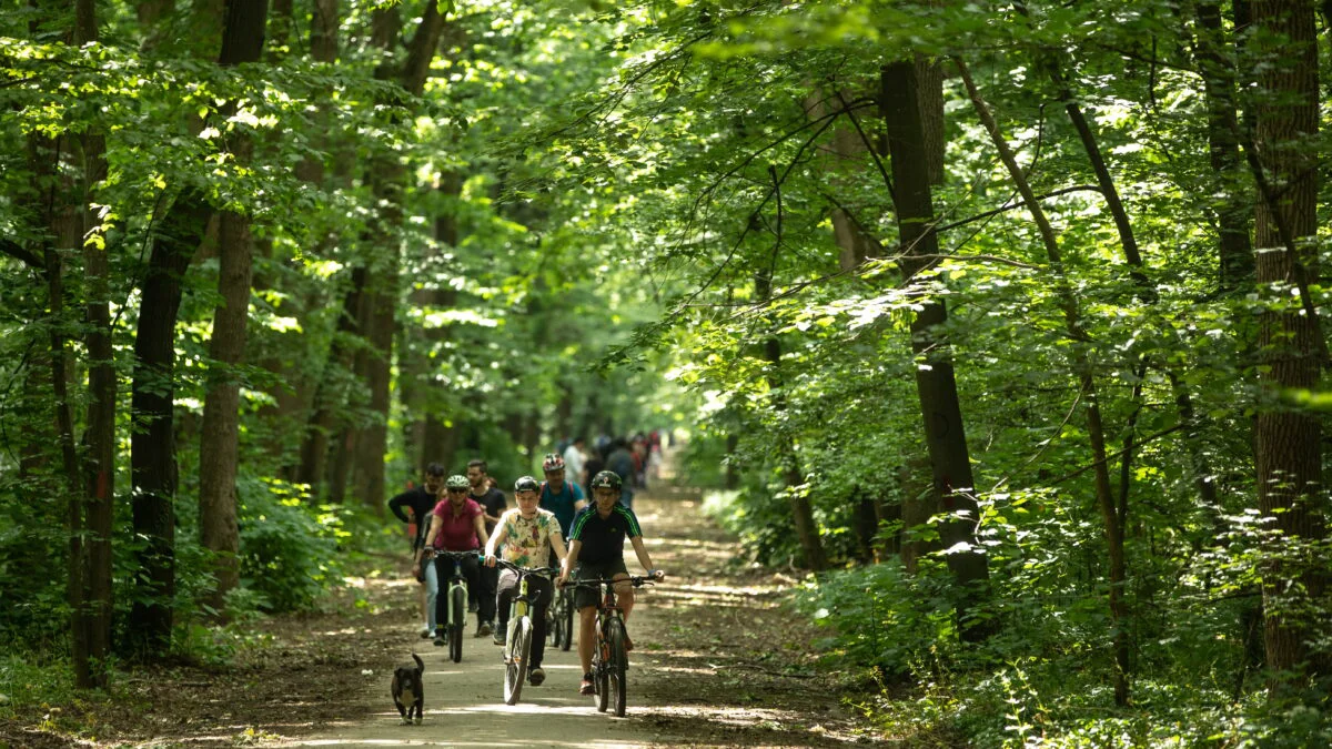 România va avea un nou parc natural, chiar lângă București: Când vin toate documentele, Ministerul Mediului îl va declara arie protejată