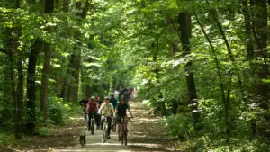 România va avea un nou parc natural, chiar lângă București: Când vin toate documentele, Ministerul Mediului îl va declara arie protejată