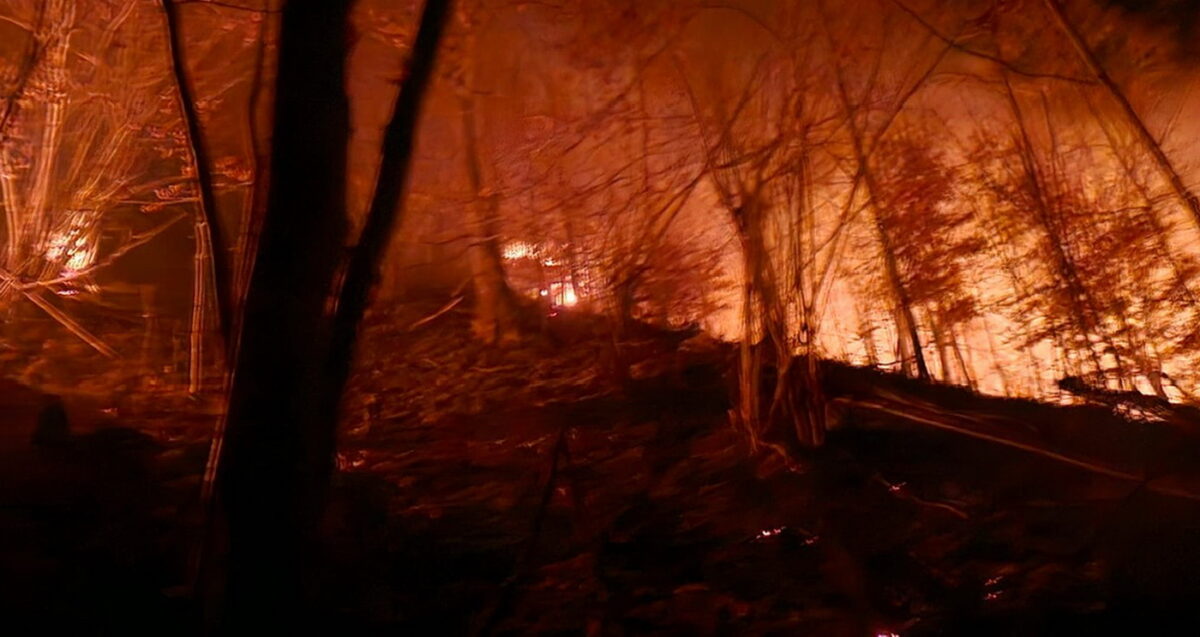 Incendii mari în două județe. Zeci de hectare de teren și pădure, cuprinse de flăcări. DSU a trimis și elicoptere Black Hawk