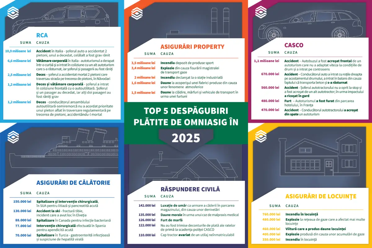 Infografic daune feb 2026
