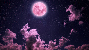 Lună Roz