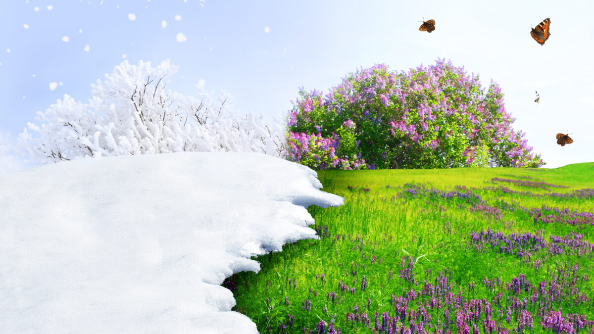 Primăvara s-a instalat brusc în România. Unde vor fi azi 18°C. Prognoza meteo completă ANM