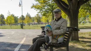 pensionar, pensii, caine, caini, animale de companie