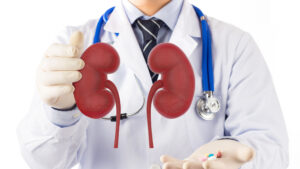 rinichi, antiinflamatorii