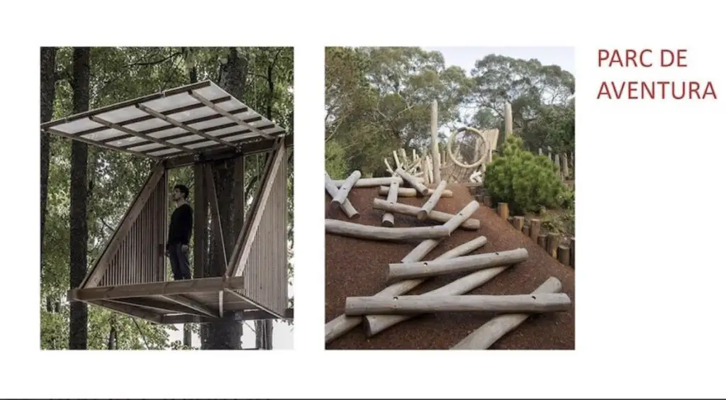 Pădurea urbană de pe malul Crișului Repede din Oradea, parc de aventură