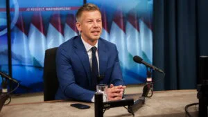 Peter Magyar, Ungaria