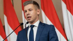 Peter Magyar, Ungaria