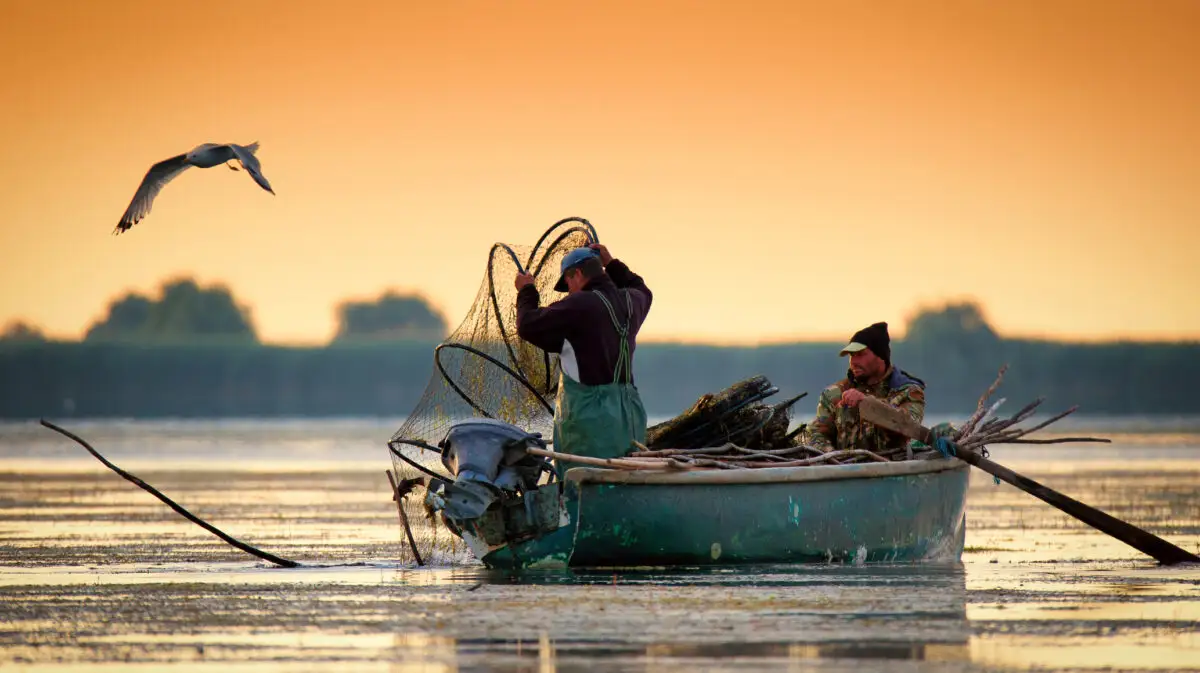 pescuit, pescari, Delta Dunării
