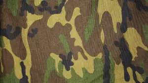 Armată, militari