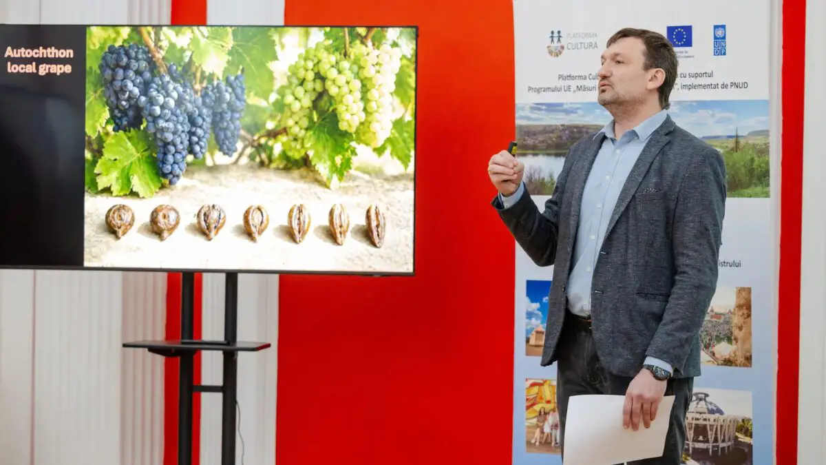 „7000 de ani sub vin”. Republica Moldova își transformă istoria viticolă milenară în brand de țară