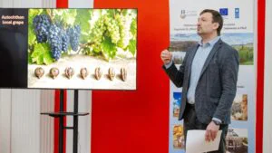 Proiect vin Republica Moldova