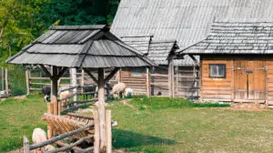 Amenzi pentru unii români care stau la țară. Se verifică gospodăriile cu animale. Cine va achita 1.200 de lei