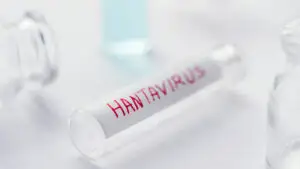 hantavirus