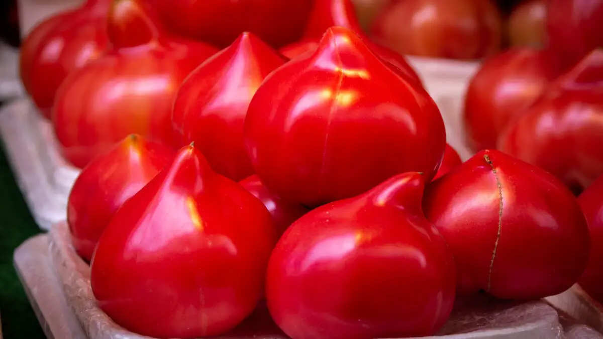 Roșiile cu moț au ajuns delicatese de lux în piețe. Cum deosebești tomatele bune de cele cu pesticide