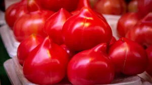 rosii, rosii cu mot, tomate