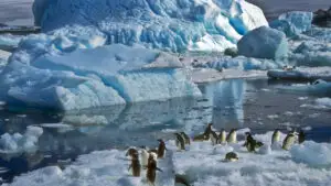 Antarctica traversează un episod fără precedent. Temperaturile de iarnă au urcat cu până la 20°C peste normal