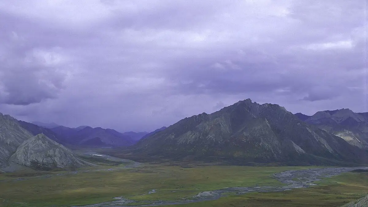 Licitații pentru petrol în Alaska: planurile SUA pentru Arctic National Wildlife Refuge