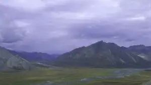 Licitații pentru petrol în Alaska: planurile SUA pentru Arctic National Wildlife Refuge