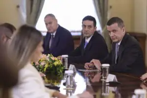 Scrisoarea trimisă de PSD către Ursula von der Leyen. Miza pentru educație și sănătate