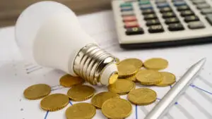 Factură greșită la energie sau gaze. Ce pot face consumatorii. Termenele legale prevăzute de lege