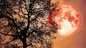 Luna Căpșună luminează cerul României! Când poate fi admirată? Ce NU ai voie să faci în această noapte