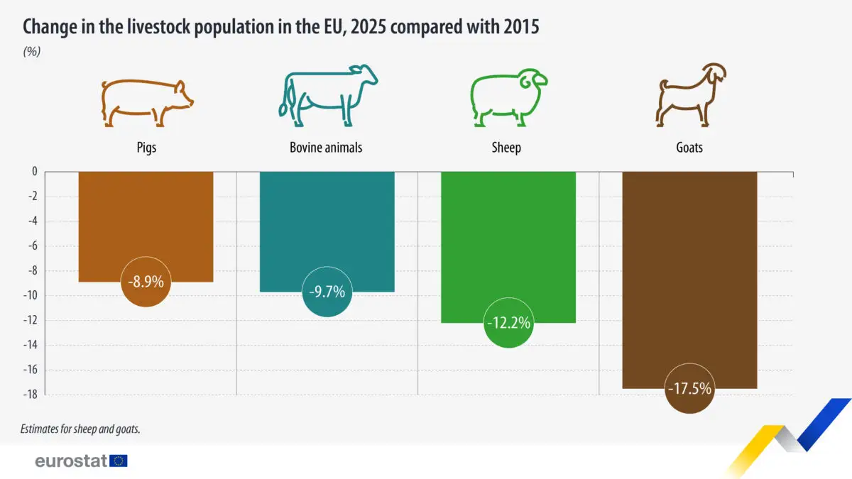 Numărul animalelor din fermele UE a continuat să scadă în 2025