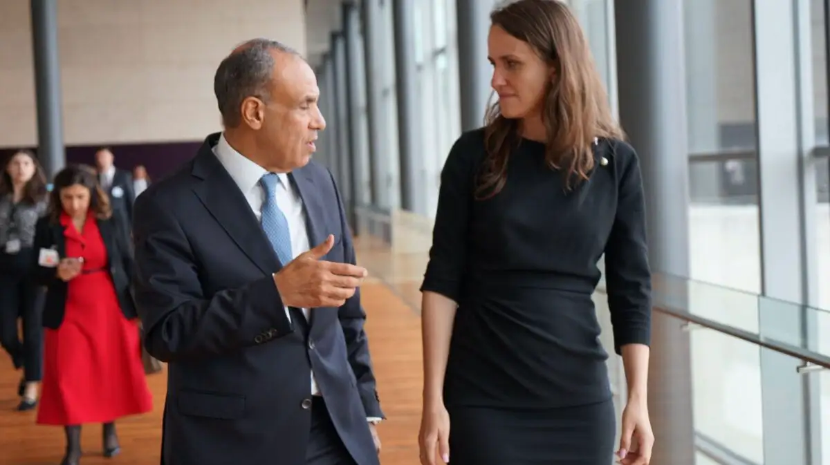 Oana Țoiu discută extinderea parteneriatului cu Egiptul. România propune proiecte economice și noi investiții în regiune