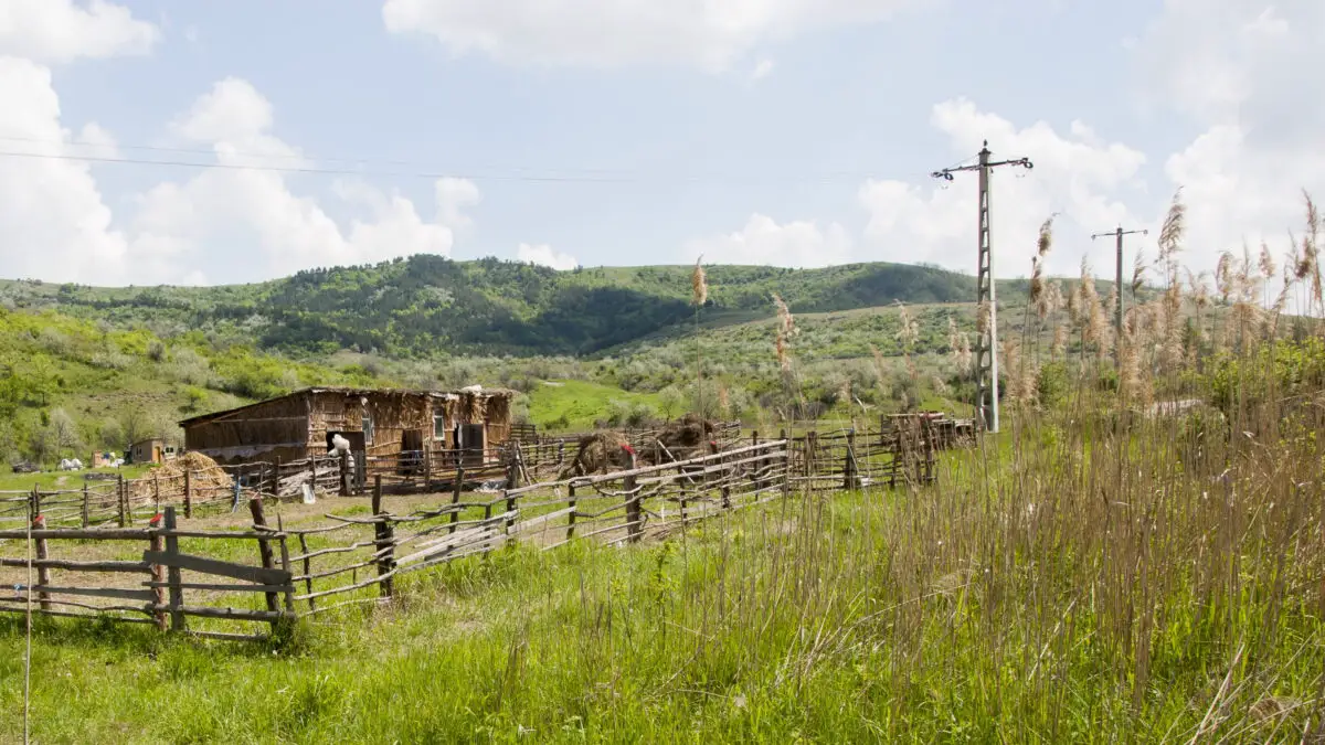 Chirie pentru proprietarii de teren. Banii pe care românii îi pot cere, dar statul probabil nu-i va plăti. Reguli dacă ai stâlpi sau o conductă pe teren