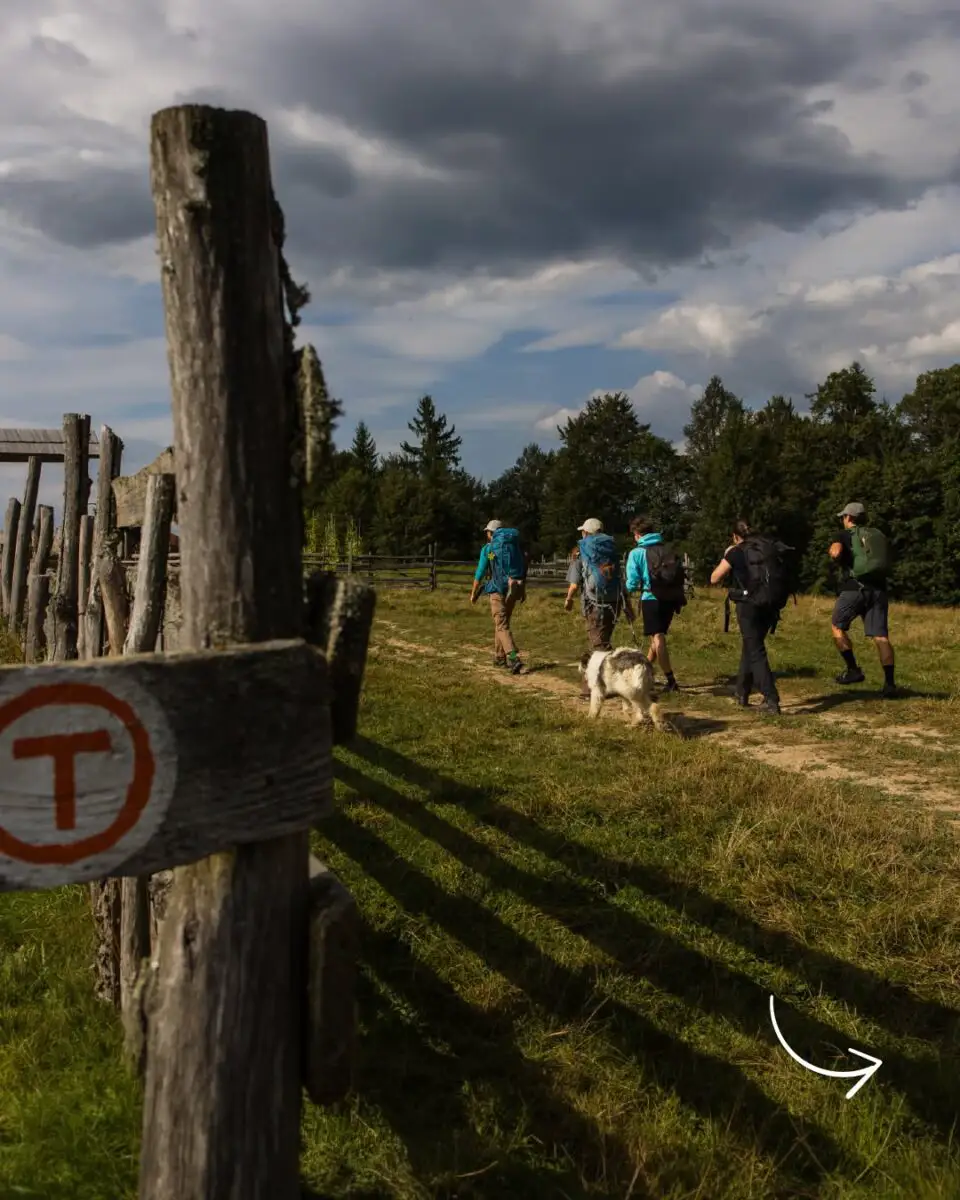 Via Transilvanica