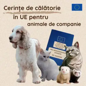 Pleci în vacanță cu animalul de companie? UE schimbă regulile de călătorie